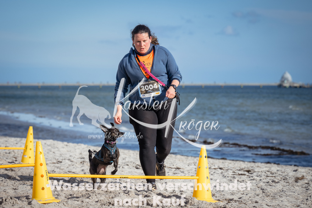 1341_ZZ92822 | kk-dogfotos