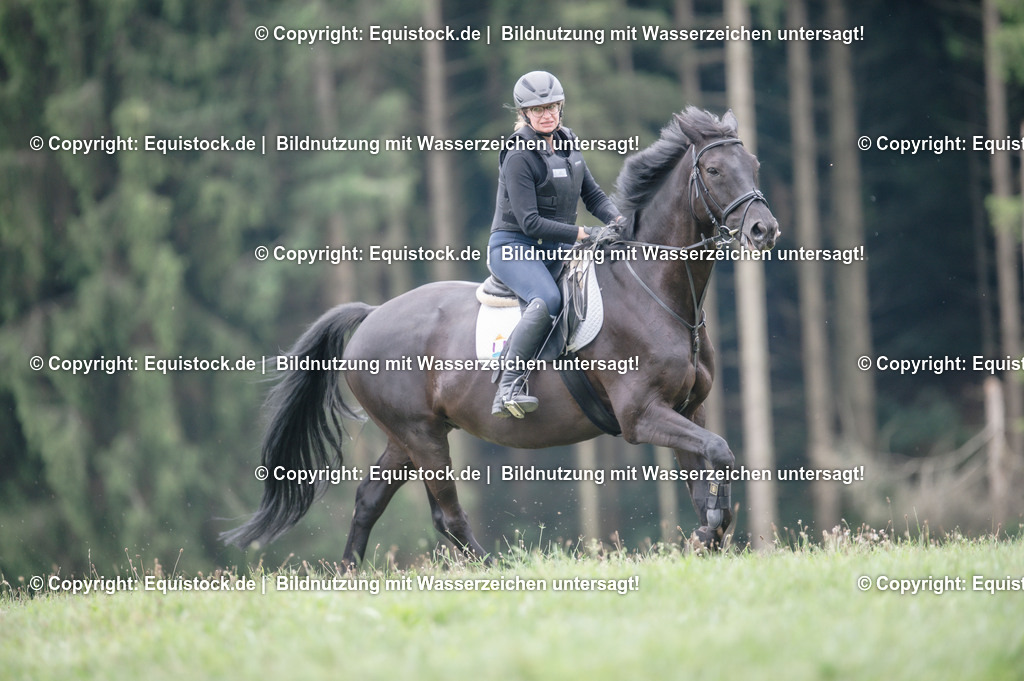 20250726_Vielseitigkeitslehrgang-Marbach_0662 | Foto: Thomas Hartig
