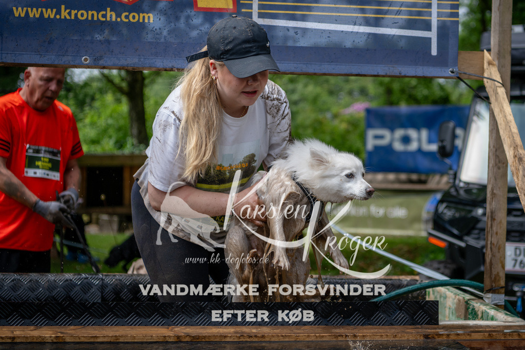 1126_ZZ94317 | kk-dogfotos