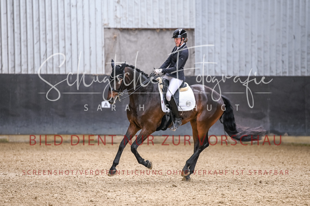 Schugtsche-Aluta25-57.Dressurprf.M1Kand-224 | Schugtsche Fotografie - Realisiert mit Pictrs.com