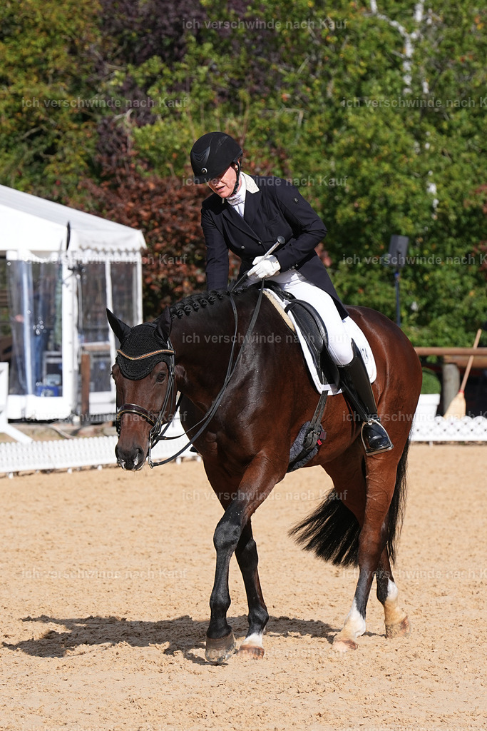 09_2-174-DRESSUR  S_  -Marixx-5946 | working equitationturnier fotograf videograf stoibphotography marixx film working equitation deutschland reitsport turnierfotografie eventfotografie equestrian events