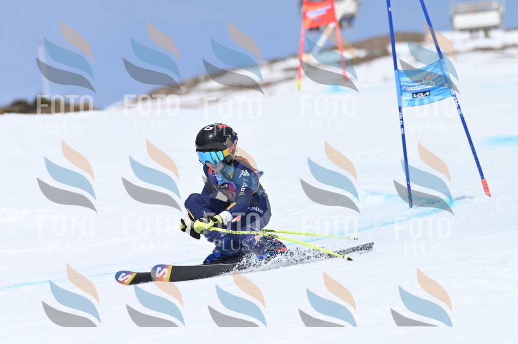 BGV_2094 | holidayphoto