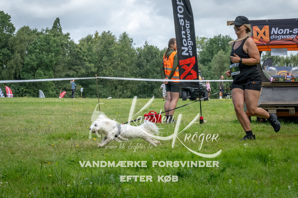 1135_ZZ92676-Bearbeitet-Bearbeitet | kk-dogfotos