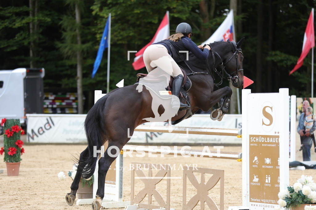 0P6A8934 | Willkommen bei Brunnmayr - Design & Fotografie – Ihrem Spezialisten für Reitturniere und Pferdeveranstaltungen in Oberösterreich, Salzburg und Bayern! Seit über 17 Jahren sind wir leidenschaftlich dabei.