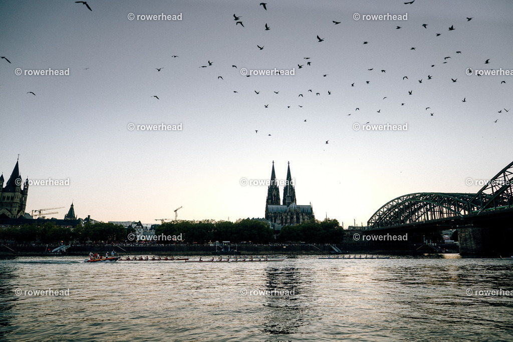 20250830_rowerhead_Stadtachter_S0685_DSC03456 | rowerhead - Realisiert mit Pictrs.com
