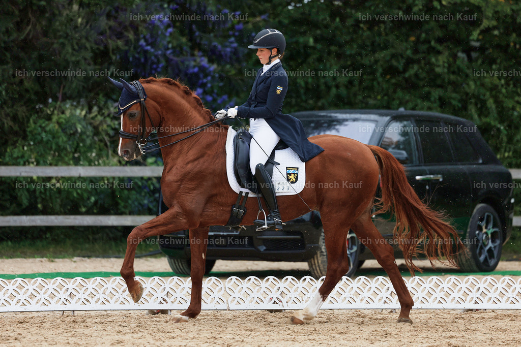 8_1-223-Klasse S_  -StoibPH-3945 | working equitationturnier fotograf videograf stoibphotography marixx film working equitation deutschland reitsport turnierfotografie eventfotografie equestrian events