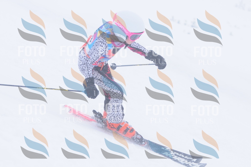 C1929 | holidayphoto