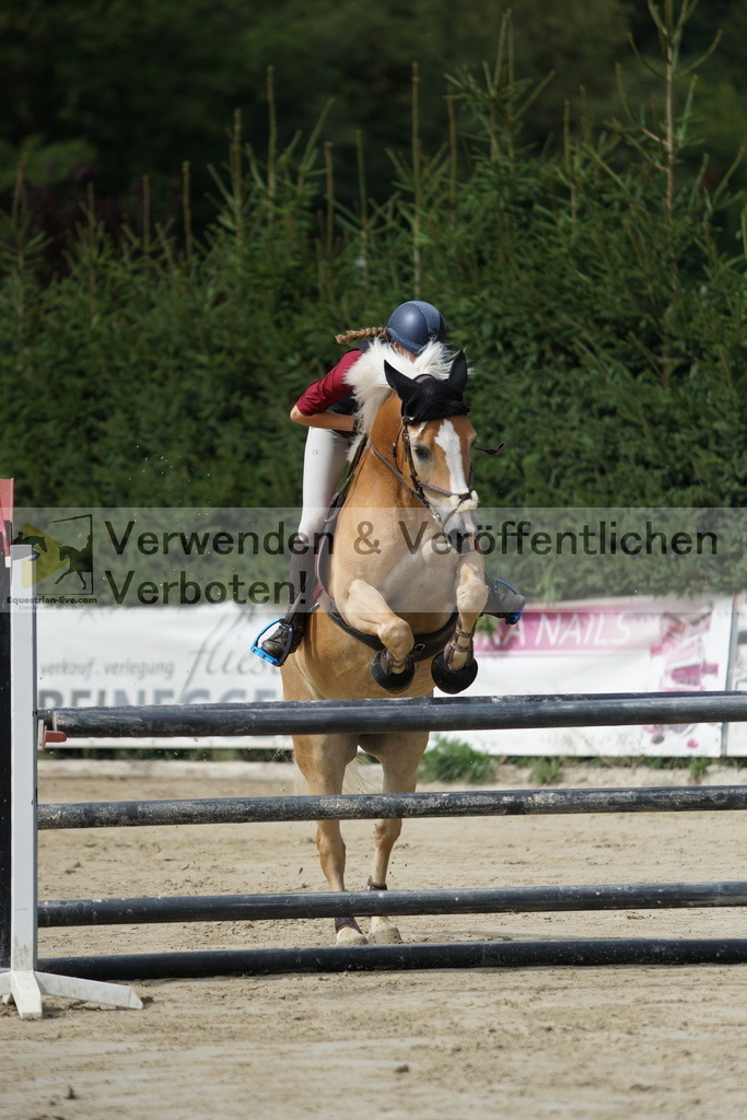 DSC01257 | equestrian-live-com