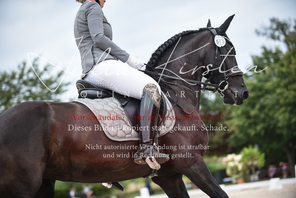 DSC_8341 | Pferde- und Turnierfotografie in Westsachsen. Pferdeportraits, Auftragszeichnungen und intuitive Kunst.