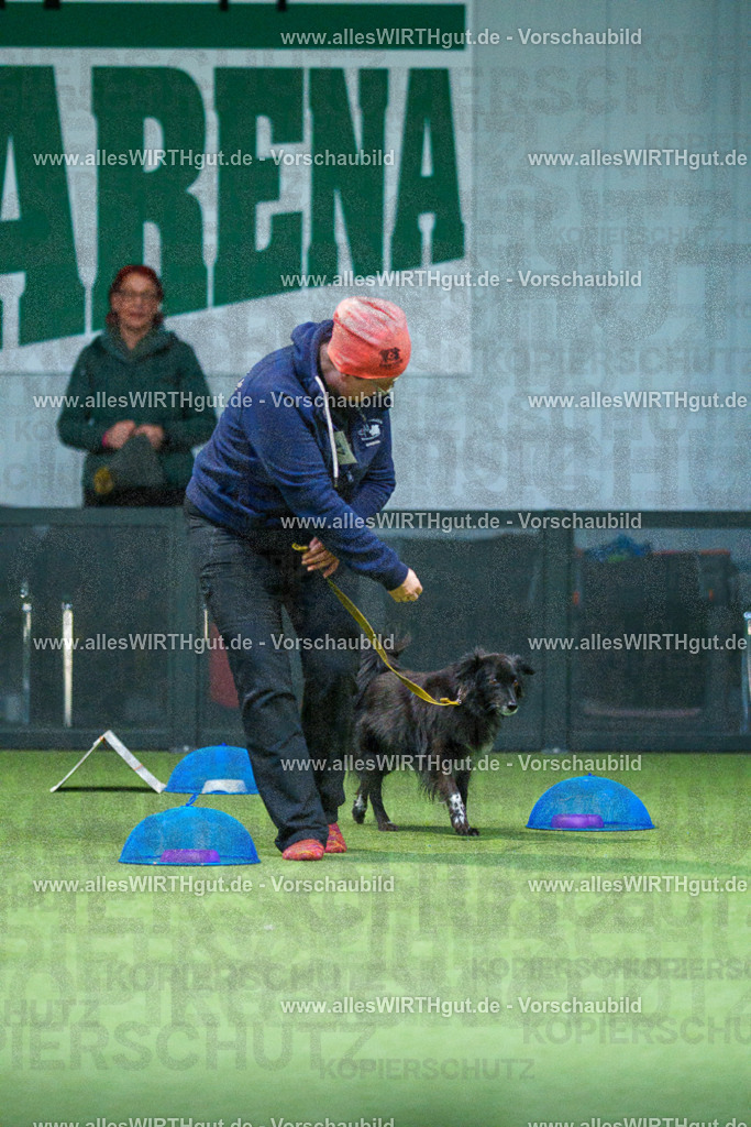 7R501102 | Professionelle Tierfotografie in Mönchengladbach von Daniel Wirth (allesWIRTHgut). Liebevolle & natürliche Bilder von Hunden & Katzen für unvergessliche Erinnerungen.
