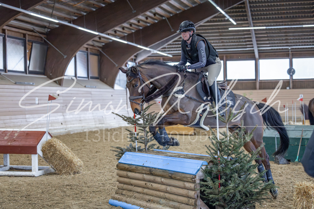 20260221-_3LI0458 | Tierfotografie Pferde, Hunde, Katzen, Haustiere.
Turnierfotografie Reitturniere, Reiten, Springreiten, Dressur in Hanau, dem Main-Kinzig-Kreis und dem Rhein-Main- Gebiet um Frankfurt