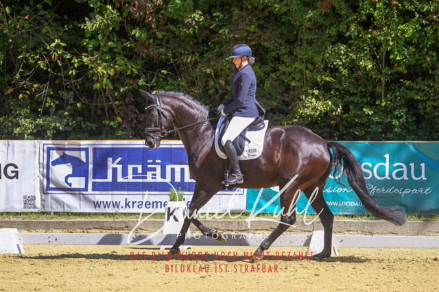 DKP42082 | Turniersportfotografie; Pferdefotografie; Dressurfotografie