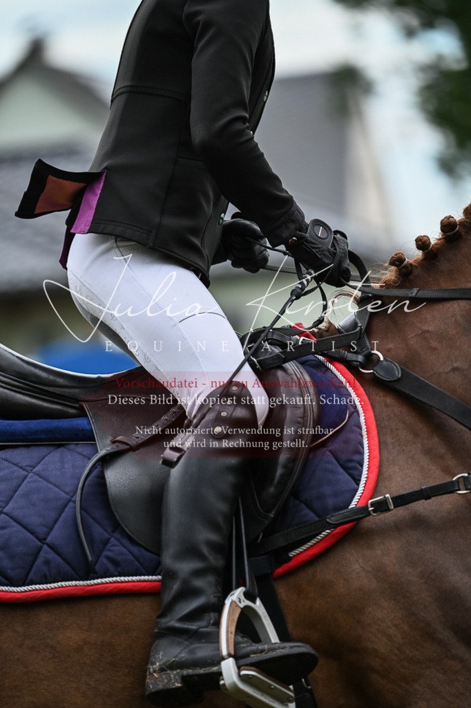 DSC_8534 | Pferde- und Turnierfotografie in Westsachsen. Pferdeportraits, Auftragszeichnungen und intuitive Kunst.