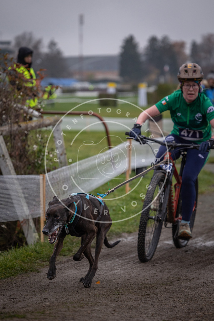 CaniXpix_0L8A1697 | Hundefotografie, Tierfotograf, Pfotenfotografie, Fotoshooting Hund, Hunde Portrait, Hundesport, Hundeportraits, Heideshooting, Hunde, Sportfotograf, Hundefotograf, Turnierhundsport, THS,  - Realisiert mit Pictrs.com