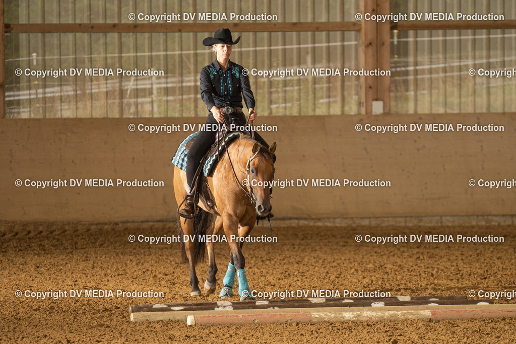 LAU00566 | dv-media-shop - Realisiert mit Pictrs.com