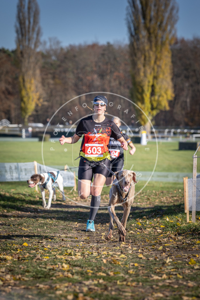 CaniXpix_DV3A9559 | Hundefotografie, Tierfotograf, Pfotenfotografie, Fotoshooting Hund, Hunde Portrait, Hundesport, Hundeportraits, Heideshooting, Hunde, Sportfotograf, Hundefotograf, Turnierhundsport, THS,  - Realisiert mit Pictrs.com
