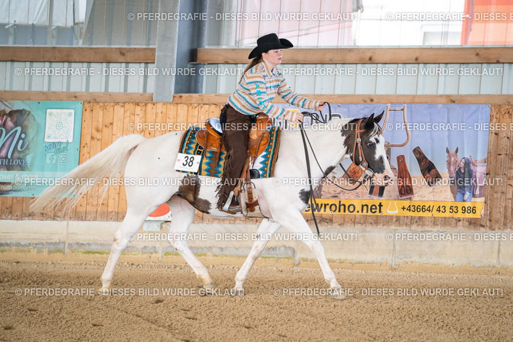 DSC01437 | Pferdegrafie