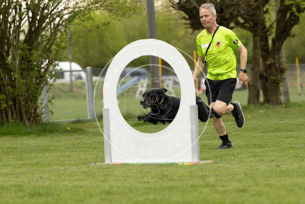 Pfotenfotografie_DV3A9161 | Hundefotografie, Tierfotograf, Pfotenfotografie, Fotoshooting Hund, Hunde Portrait, Hundesport, Hundeportraits, Heideshooting, Hunde, Sportfotograf, Hundefotograf, Turnierhundsport, THS,  - Realisiert mit Pictrs.com