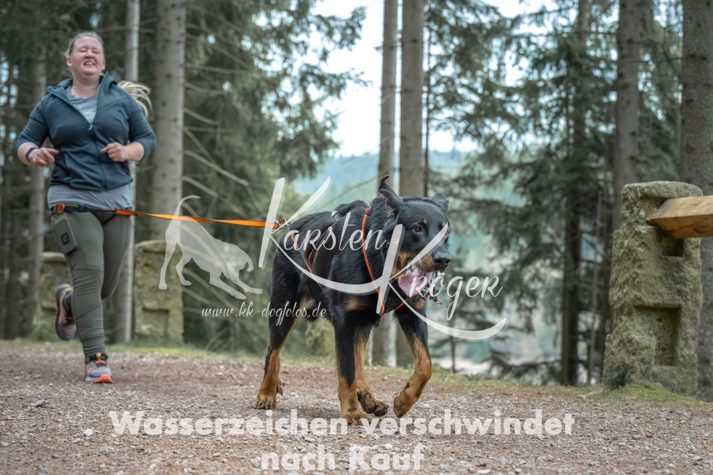 0815_ZZ90723 | kk-dogfotos