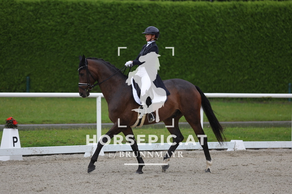 0P6A1002 | Willkommen bei Brunnmayr - Design & Fotografie – Ihrem Spezialisten für Reitturniere und Pferdeveranstaltungen in Oberösterreich, Salzburg und Bayern! Seit über 17 Jahren sind wir leidenschaftlich dabei.