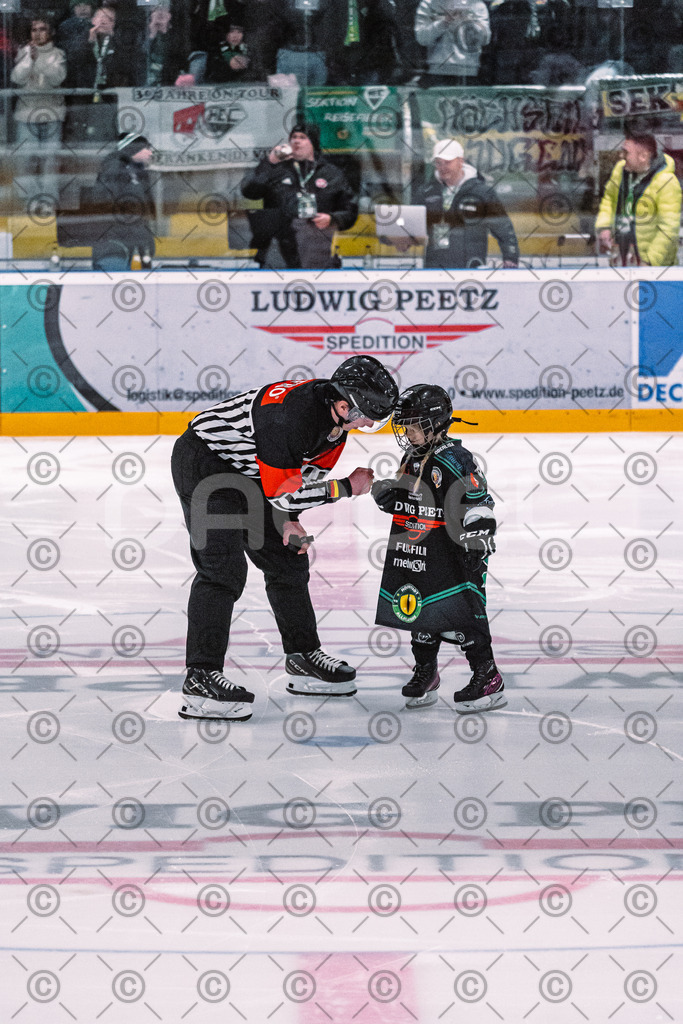 Alligators_vs_Selb_27_02_2026-1 | Höchstadt Alligators Fotogalerie: Eishockey-Action aus Franken. Professionelle Spielfotos, Portraits & Stadionbilder zum Download. Jetzt entdecken! - Realisiert mit Pictrs.com