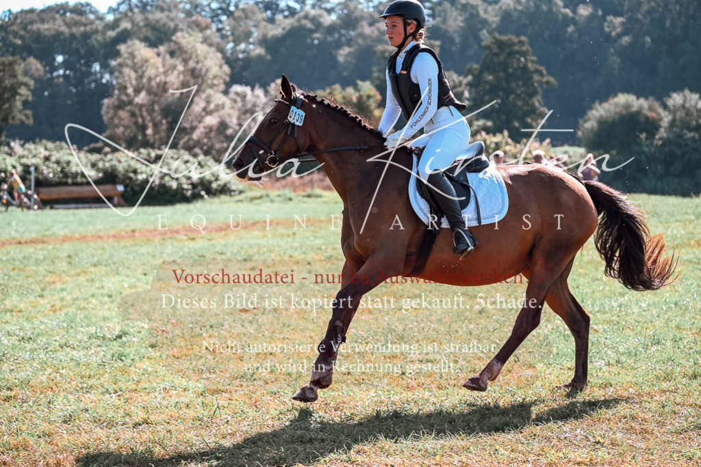 DSC_0672 | Pferde- und Turnierfotografie in Westsachsen. Pferdeportraits, Auftragszeichnungen und intuitive Kunst.