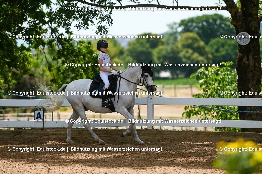 20230715_09_Dressur-WB_0061 | equistock