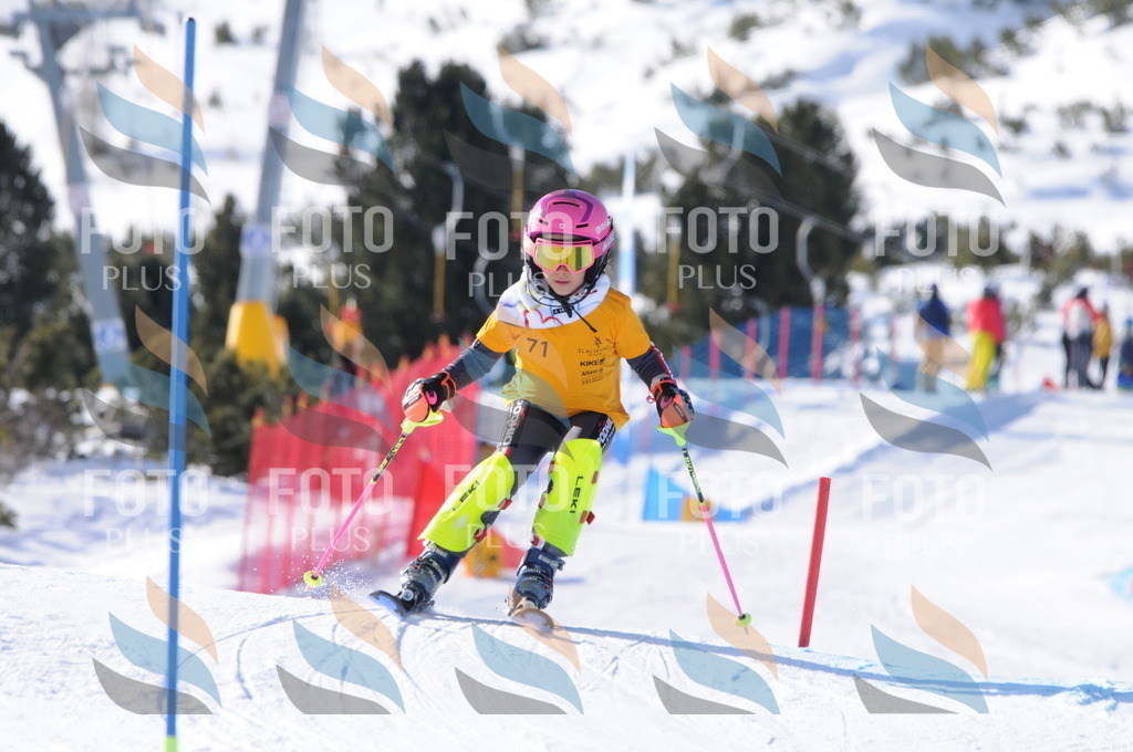 C6953 | holidayphoto