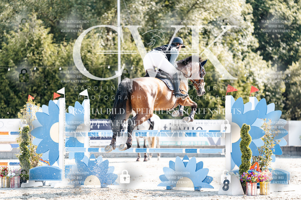 CK902332 | Turnierfotografie Pferdefotografie Trier Rheinland-Pfalz Pferdesport Reitsport Tierfotografie Sportfotografie Pferdevideo Pferdevideografie Equestrianvideography equestrianphotography  - Realisiert mit Pictrs.com