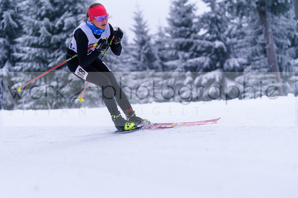 DP Oberwiesenthal | Sparkassen-Skiarena Oberwiesenthal am 10. - 12. Januar 2025