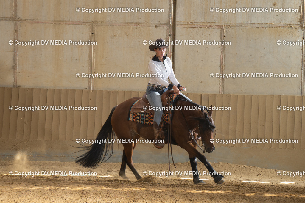 DSC00163 | dv-media-shop - Realisiert mit Pictrs.com