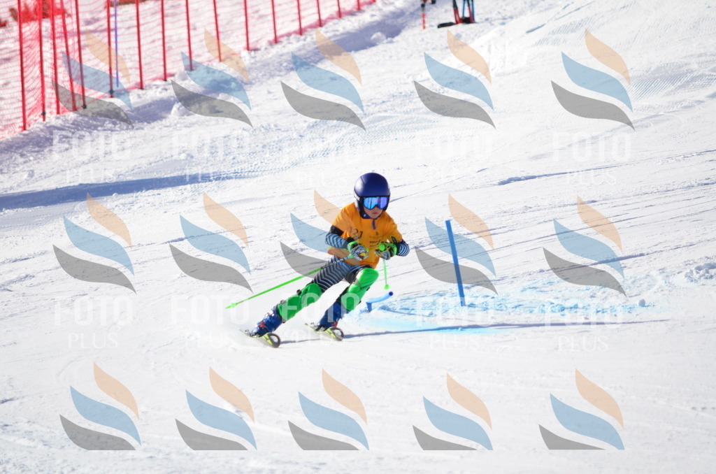 C6360 | holidayphoto