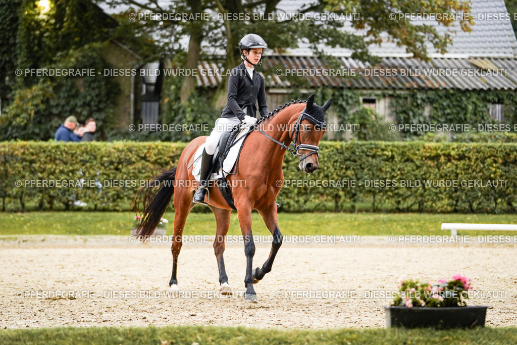 DSC07956 | Pferdegrafie