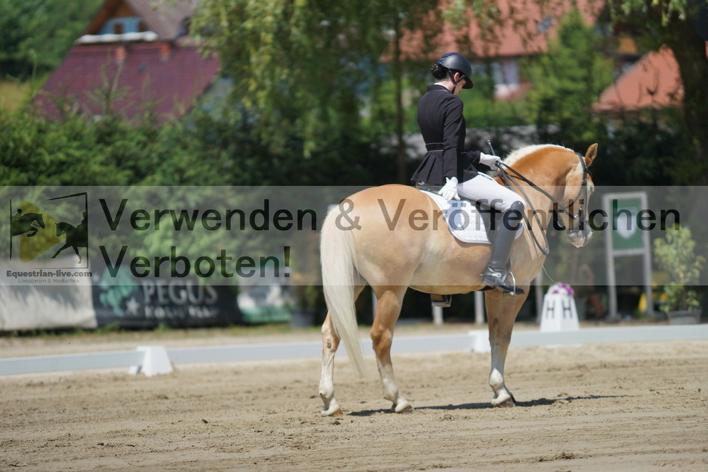 DSC03521 | equestrian-live-com