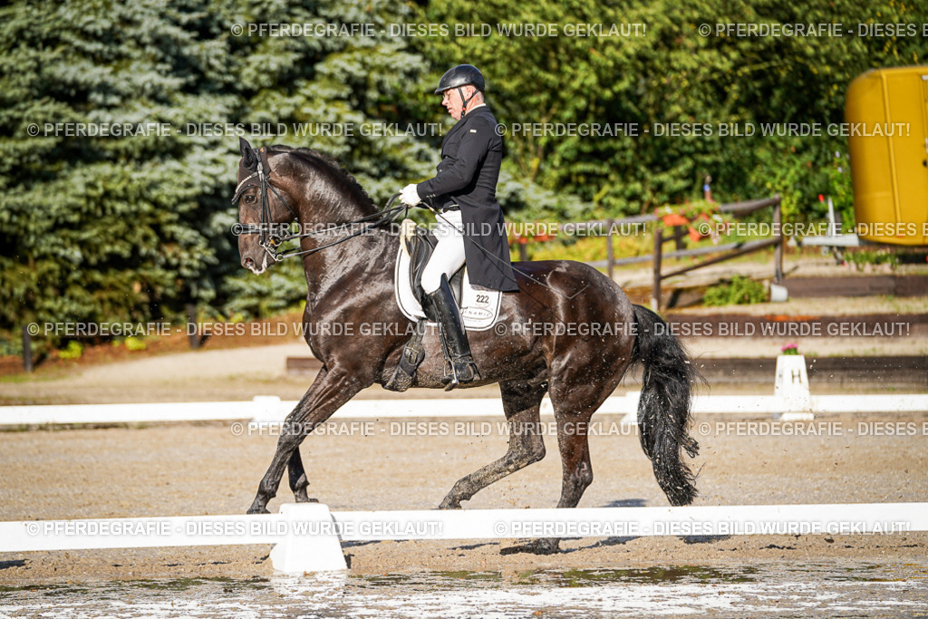 DSC00652 | Pferdegrafie