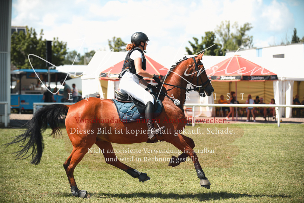 DSC_6594 | Pferde- und Turnierfotografie in Westsachsen. Pferdeportraits, Auftragszeichnungen und intuitive Kunst.