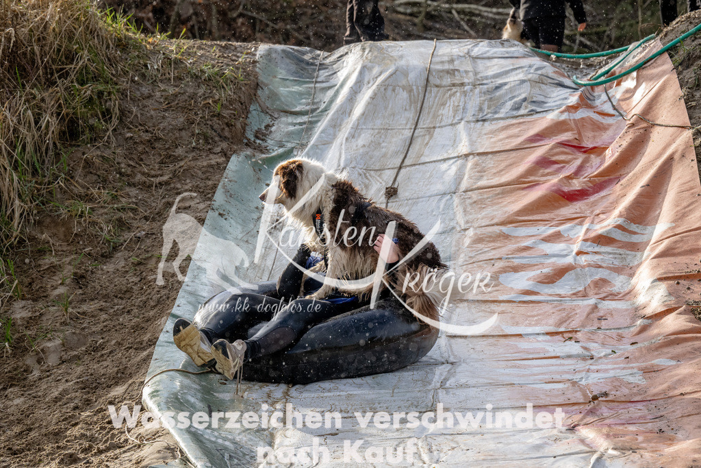 1620_ZZ90358 | kk-dogfotos