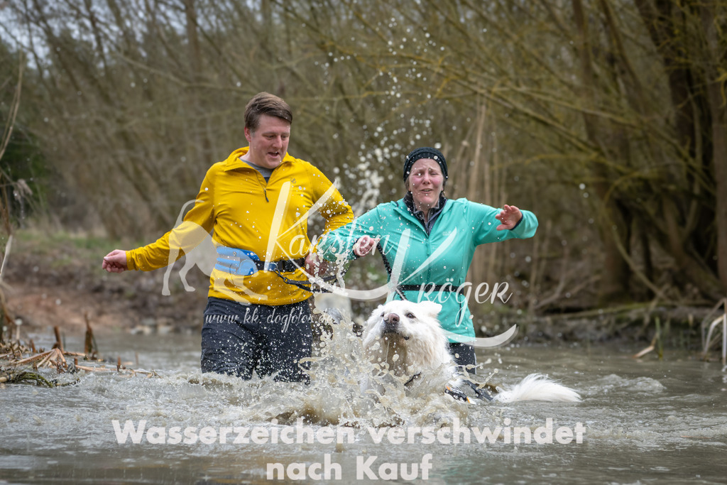 1418_ZZ98195 | kk-dogfotos