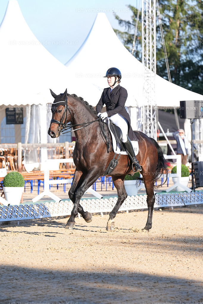 09_1-193-DRESSUR  S_  -Marixx-5649 | working equitationturnier fotograf videograf stoibphotography marixx film working equitation deutschland reitsport turnierfotografie eventfotografie equestrian events