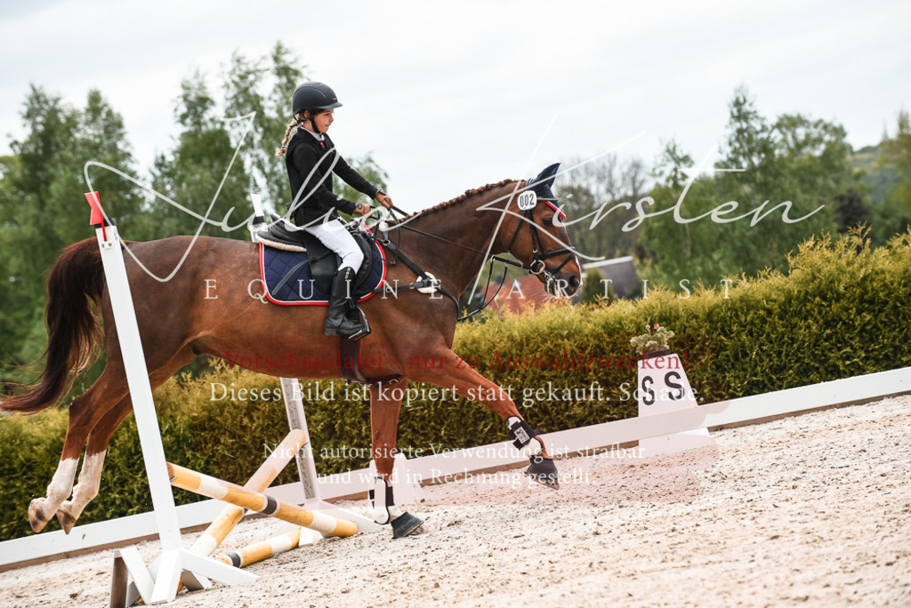 20230518_JK-Röhrsdorf-10-453 | Pferde- und Turnierfotografie in Westsachsen. Pferdeportraits, Auftragszeichnungen und intuitive Kunst.