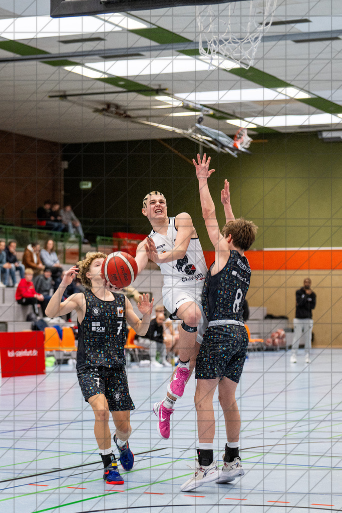 JBBL 24/25 | 23.11.2024 | Charisma Young Bulls vs. UBC Münster  | JBBL 24/25 | 23.11.2024 | Charisma Young Bulls vs. UBC Münster - - - - - CREDIT, www.bullenfotos.de, Martin König, Hörner Weg 40, D-49078 Osnabrück, +4917663732967, Nutzung und Weitergabe nur zu den vereinbarten Zwecken. Presseanfragen an Urheber. Alle Rechte beim Urheber. - - - - - - Realisiert mit Pictrs.com