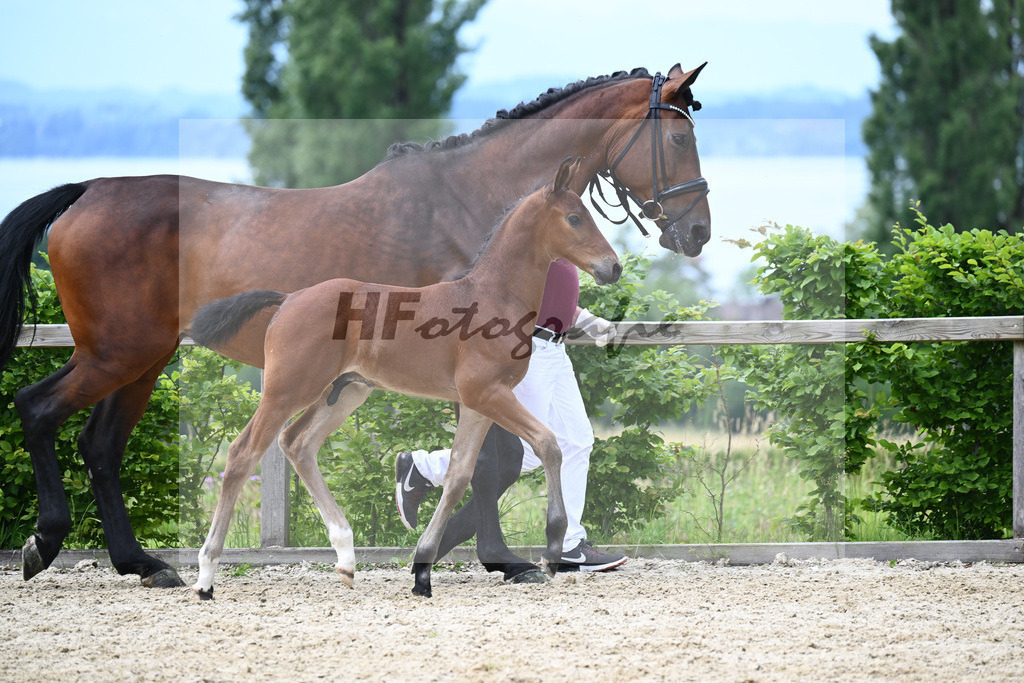 Comme il faut x Lyjaneiro_HF_Knott_19240352 | hf-fotografie - Realisiert mit Pictrs.com