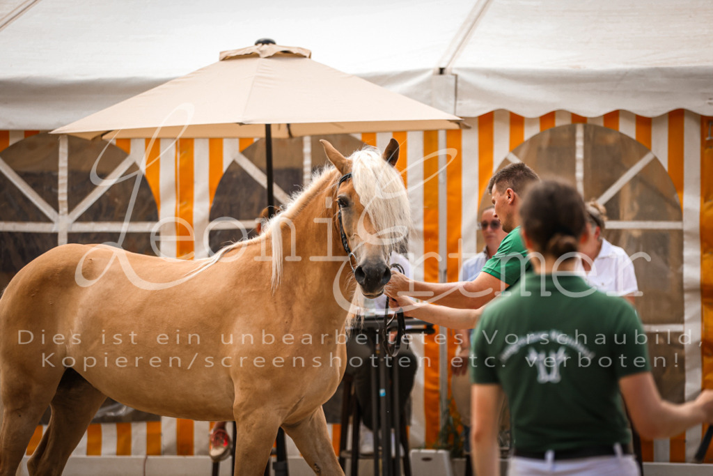 06.So00002 | Leoni Ertmer Photography - Realisiert mit Pictrs.com