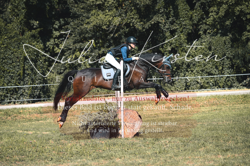 DSC_7945 | Pferde- und Turnierfotografie in Westsachsen. Pferdeportraits, Auftragszeichnungen und intuitive Kunst.
