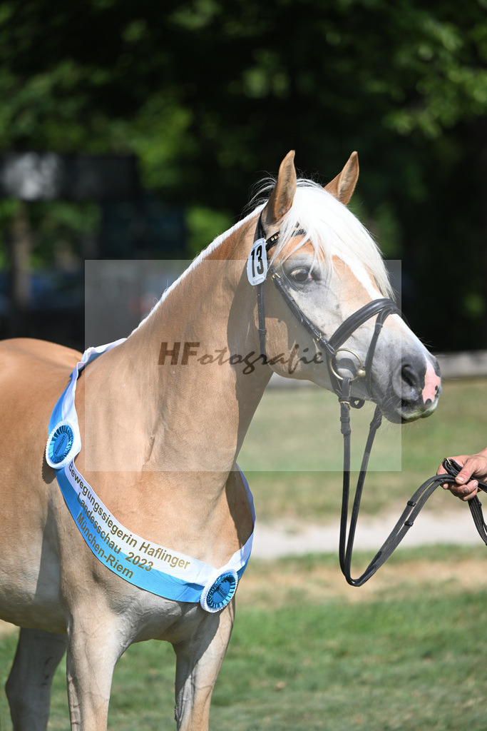 Kat-Nr. 13 Milana_Strauss_20231847 | hf-fotografie - Realisiert mit Pictrs.com