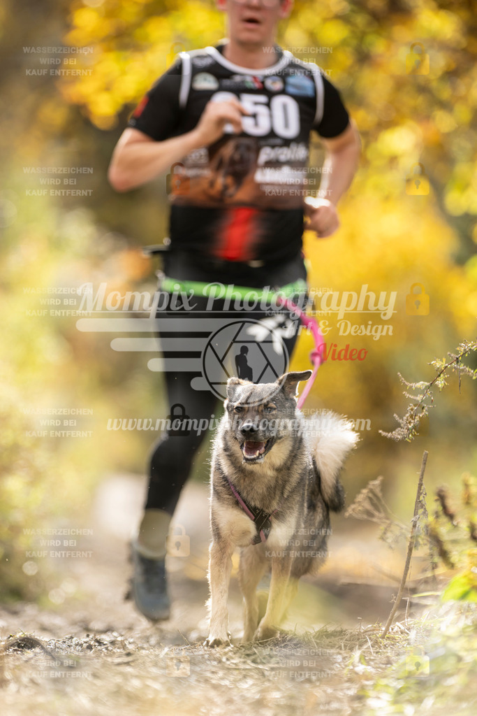 MompixPhotography_ICF_WC_2024_SA_Run_-130 | PayLife
