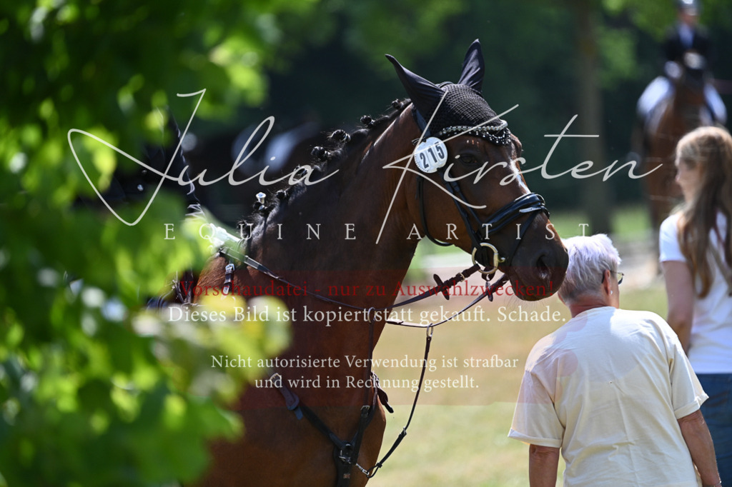 DSC_9539 | Pferde- und Turnierfotografie in Westsachsen. Pferdeportraits, Auftragszeichnungen und intuitive Kunst.