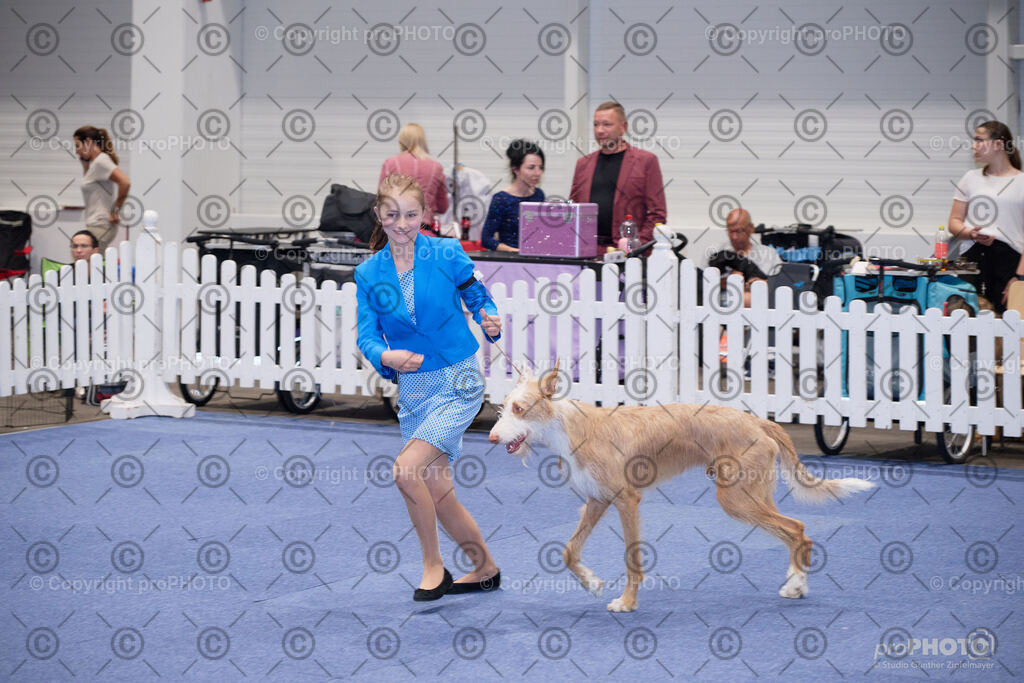 202406_ÖKV-IHA-Tulln24_NZ9_7731 | proPHOTO - Realisiert mit Pictrs.com