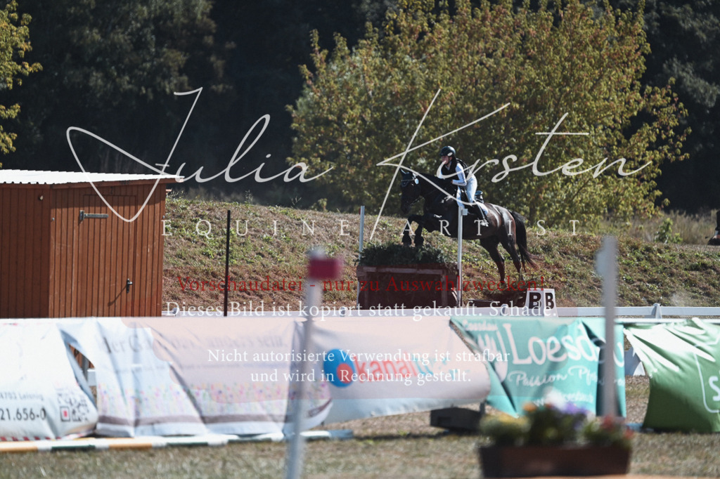 DSC_8656 | Pferde- und Turnierfotografie in Westsachsen. Pferdeportraits, Auftragszeichnungen und intuitive Kunst.