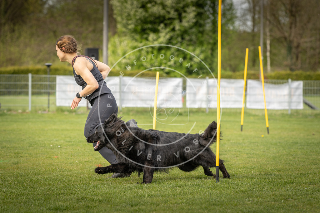 Pfotenfotografie_DV3A5081 | Hundefotografie, Tierfotograf, Pfotenfotografie, Fotoshooting Hund, Hunde Portrait, Hundesport, Hundeportraits, Heideshooting, Hunde, Sportfotograf, Hundefotograf, Turnierhundsport, THS,  - Realisiert mit Pictrs.com